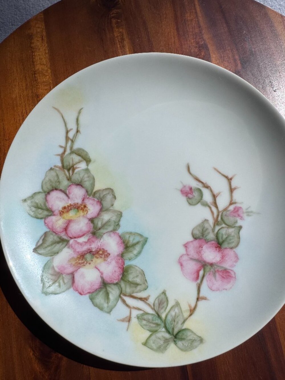 Antique Thomas Sevres Bavaria Hand-Painted Pink Tea Rose Cabinet Plate